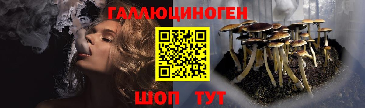Бугульма  Галлюциногенные грибы GOLDEN TEACHER  Вход с VPN 